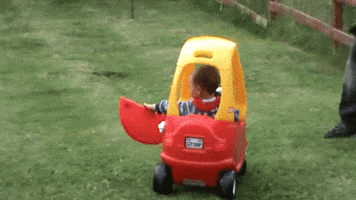coupe tykes GIF
