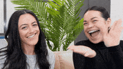 Youtube Lol GIF by The Influence Agency