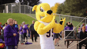 football yes GIF by Western Illinois University
