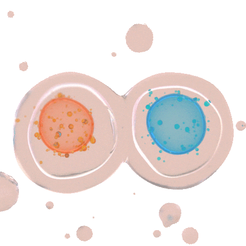 Tte Sticker by Allergan Aesthetics LATAM