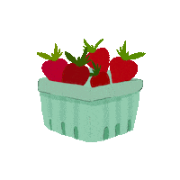 Summer Fruit Sticker by Anthropologie
