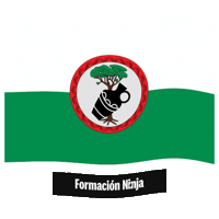 Castilla Y Leon Flag Sticker by Formación Ninja
