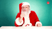 Santa Claus Christmas GIF by BuzzFeed