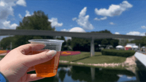 7NewsWKBW giphygifmaker GIF