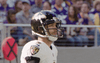 Happy National Football League GIF by Baltimore Ravens