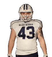 BlueWingsWolfsburg football sticker instagram blue Sticker