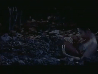 nang nak thai film GIF