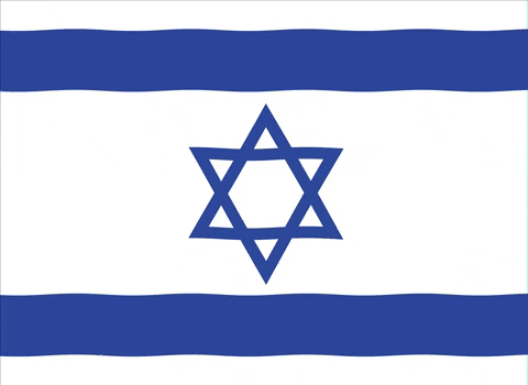 Israel Flag GIF by IsraelCC