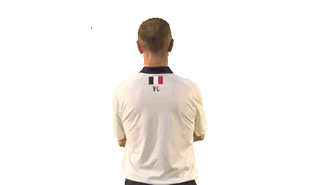 France Game Sticker by FIBA