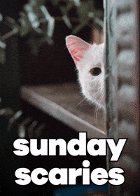 Scared Go Away GIF by Sealed With A GIF