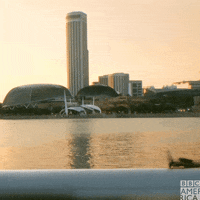 Singapore Insect GIF by BBC America