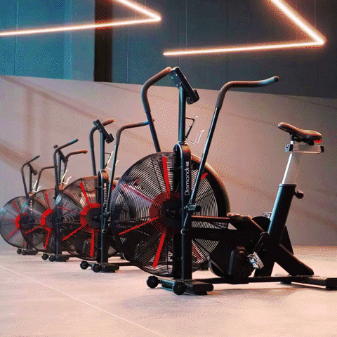 PadelArenaPerugia giphygifmaker GIF