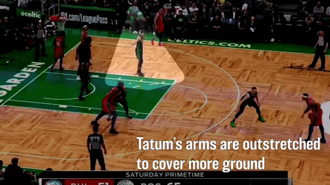 KevinOConnorNBA giphyupload GIF