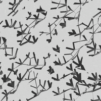 Loop Glitch GIF by tracheotommy