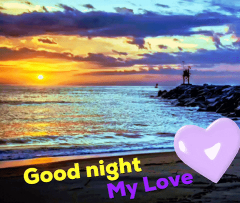 adnof2001 good night good night my love beach good night GIF