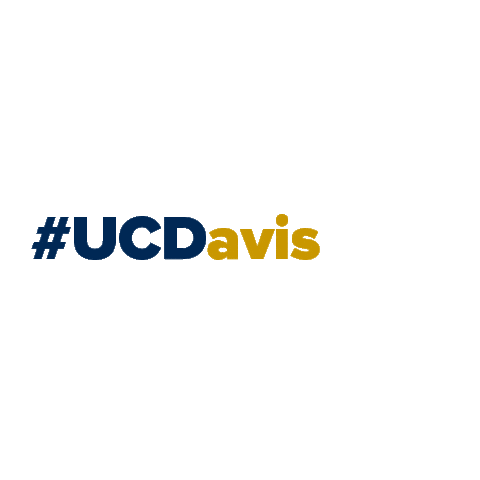Class Of 2025 Sticker by UC Davis
