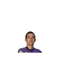 Team Bikes Sticker by INNOVABIKES