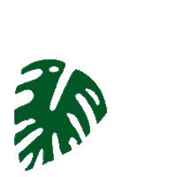 elanett plant leaves green leaves green plant Sticker