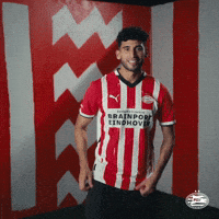 Usa Eindhoven GIF by PSV