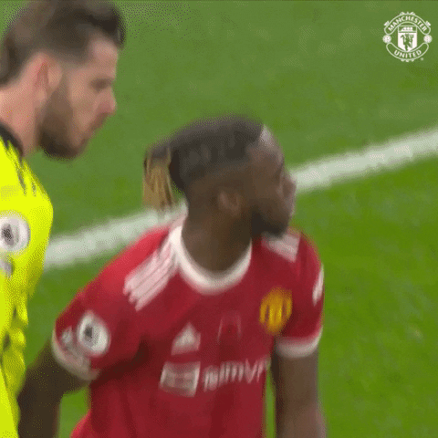 Well Done Good Job GIF by Manchester United