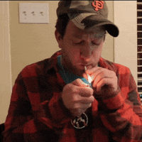 big cat lol GIF by Barstool Sports