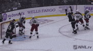 happy ice hockey GIF by NHL