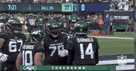 2019 Nfl Football GIF by NFL