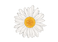 Flower Spring Sticker