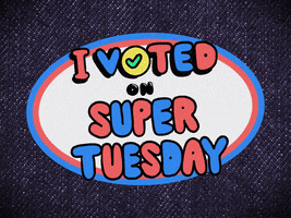 Super Tuesday Vote GIF