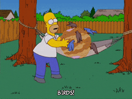 homer simpson cats GIF