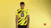 Borussia Dortmund Smiling GIF by Bundesliga