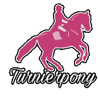 Pony Dressur Sticker