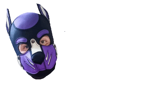 Bjorn Sticker