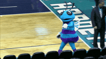 charlotte hornets mascot GIF by NBA