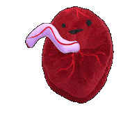Baby Birth Sticker by I Heart Guts