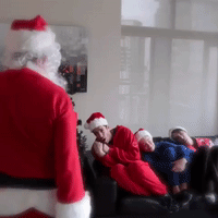 GIF by Brittlestar