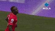 Happy Premier League GIF by MolaTV