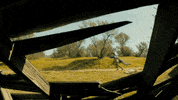 amc GIF by Fear the Walking Dead