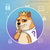 Be Quiet Question Mark GIF by Doge Pound