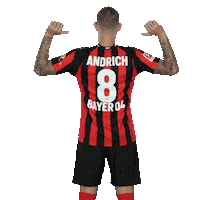 Proud Team Sticker by Bayer 04 Leverkusen
