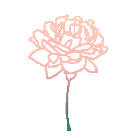 Party Love Sticker by Honkosan