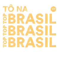 spotifybrasil top musica spotify playlist Sticker