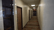 BeMobileInc bemobile wallyspalding GIF