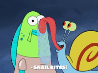 season 8 episode 22 GIF by SpongeBob SquarePants