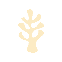 New-Practice avenue walkup craigmillar walkupavenue Sticker