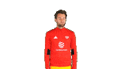 marek hanousek what Sticker by 1. fotbalová liga