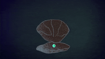 octopus pearl GIF by quasarwei