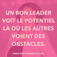 Canada Leader GIF by PIMP TA MARQUE