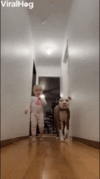 Rollo and Charli are Startled by Funny Filter