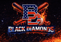 Liblackdiamonds GIF by NBCInTheField